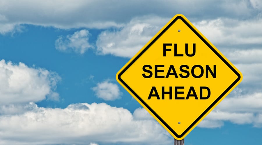 flu vaccine