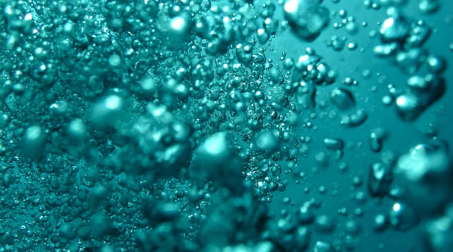perfluorodecanoic acid may disrupt the healthy development of enamel