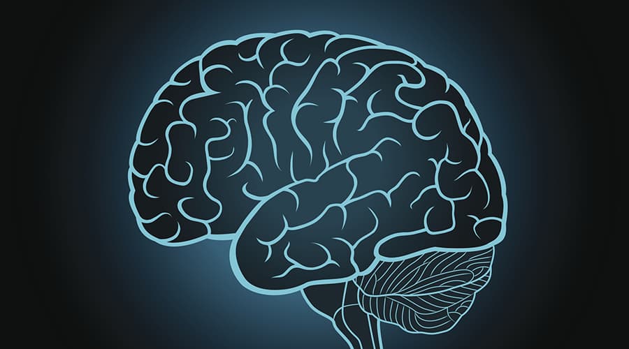 brain regions intact stroke survivors