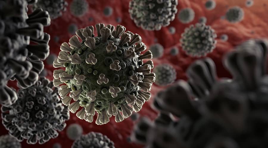 Coronavirus Update – April 15, 2020