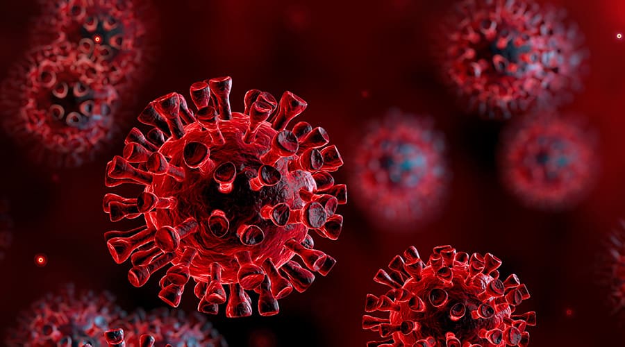 Coronavirus Update – June 17, 2020