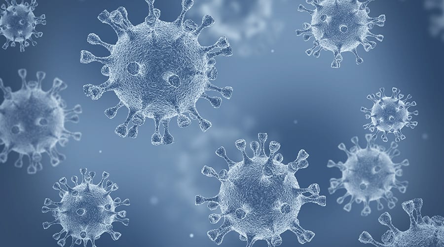 Coronavirus Update for June 22