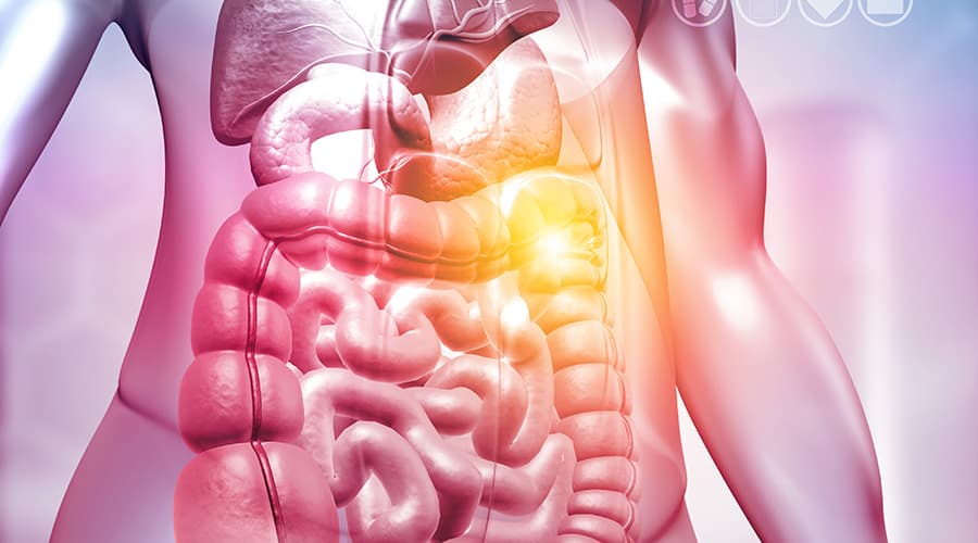 Gut and Psychology Syndrome GAPS Part III Elite Learning