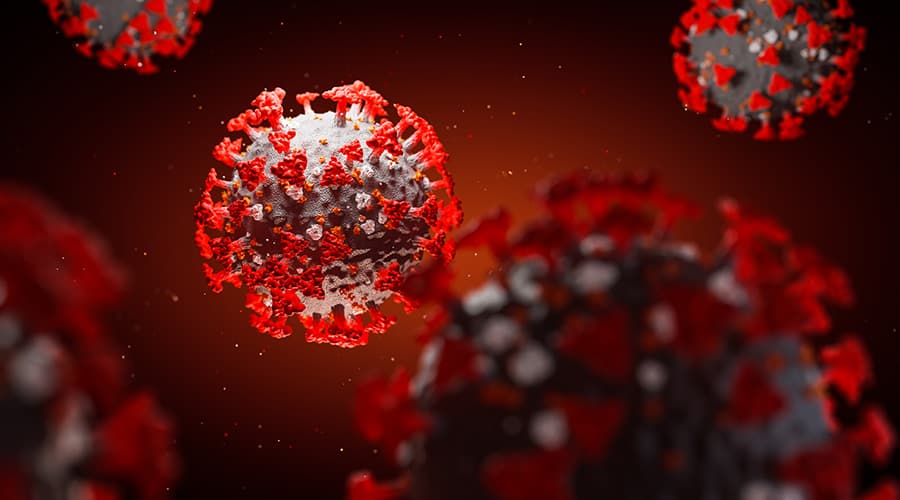 Your Coronavirus Update for August 17