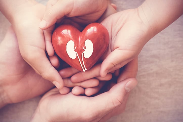 Two pairs of hands holding red heart with kidney image, national kidney month concept