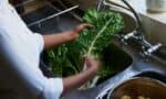 Managing Foodborne Illnesses: What Nurses Need to Know