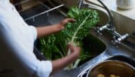 Managing Foodborne Illnesses: What Nurses Need to Know