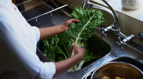 Managing Foodborne Illnesses: What Nurses Need to Know