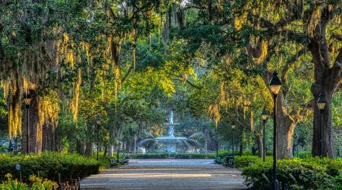 Georgia Nursing CE Checklist 