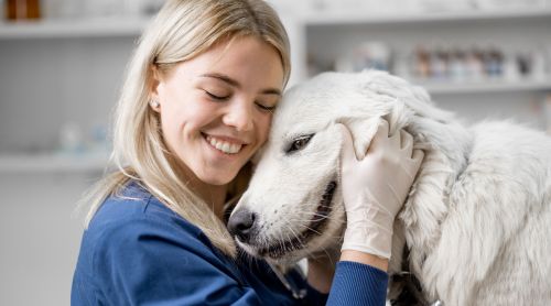 Creating Successful Veterinary Wellness Programs