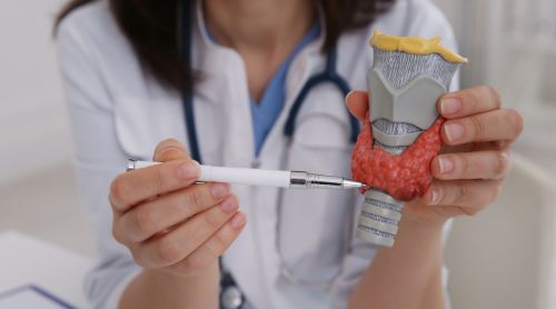 The Endocrine System: Conditions, Diseases, and Disorders