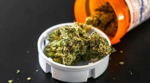 What Dental Professionals Should Know About Medicinal Marijuana 