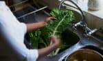 What Providers Need to Know About Foodborne Diseases