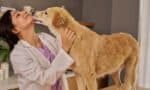 Veterinary Ethics in Florida Practice
