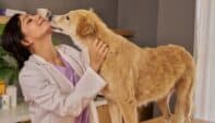 Veterinary Ethics in Florida Practice
