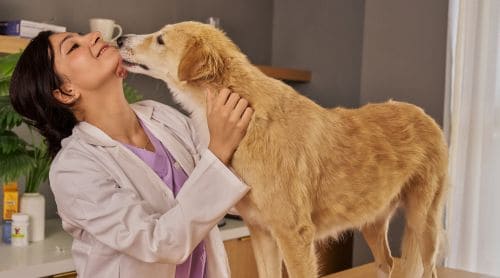 Veterinary Ethics in Florida Practice