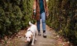 5 Ways to Cope with Healthcare Burnout (That Aren’t What You Expect)