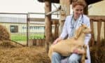 Veterinary Entrepreneurship: 7 Specialties to Expand Your Practice