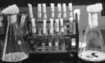 The History of Healthcare in the US: A 250-Year Retrospective