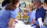ER Nurse Training: What to Expect in the Emergency Department 