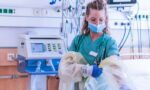 Med-Surg Nursing: A Career Guide for Nurses Considering the Switch