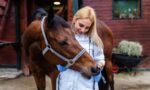 Mental Health in Veterinary Medicine